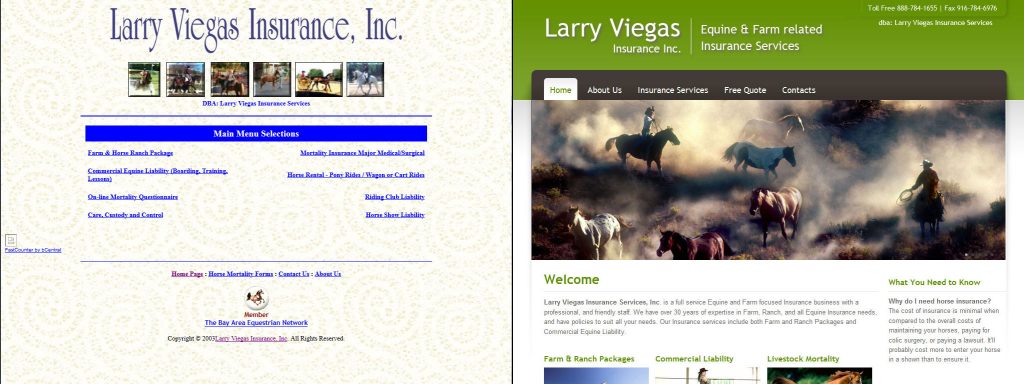 Larry Viegas Insurance