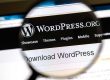 WordPress website
