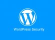 WordPress Security