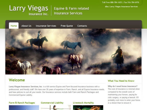 Larry Viegas Insurance, Inc