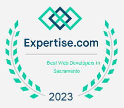 Expertise Best Web Developer Award 2023